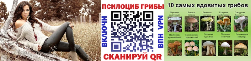 Псилоцибиновые грибы Psilocybine cubensis  купить  цена  гидра сайт  Спасск-Рязанский 